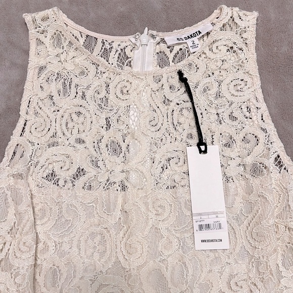 BB Dakota Ivory Lace FIt & Flare Sleeveless Dress - Picture 12 of 16